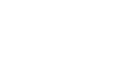 Hunter Laser Vision